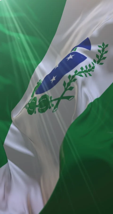 Parana state flag, Brazil. Loop. 4K Vertical Video stock 309521598