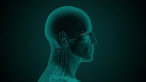 Paranasal sinus Ethmoid air cells Stock Footage 274877801