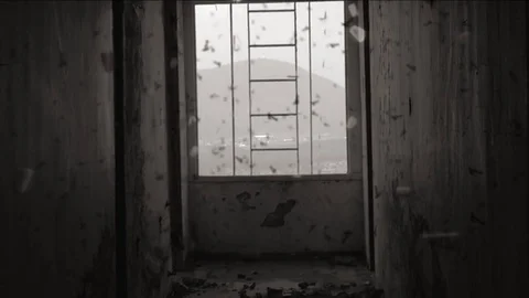 Paranormal activity hallway Stock-Footage 76020422