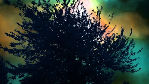 Paranormal Storm Over Tree Rotating Shot Vídeos de archivo 276923083