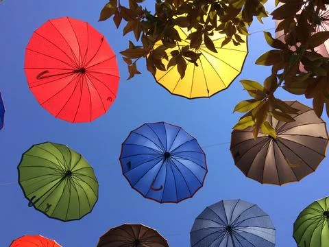 Parapluies Stock Photos