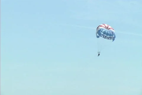 Parasailbirds Video stock 78129