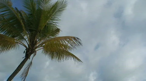 Parasailing Video stock 275111