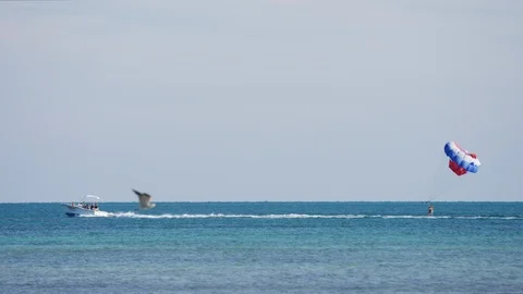 Parasailing Stock Footage 86786304