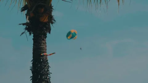 Parasailing going on at a beach during daytime with a bark of coconut tree in Stock Footage 294765092