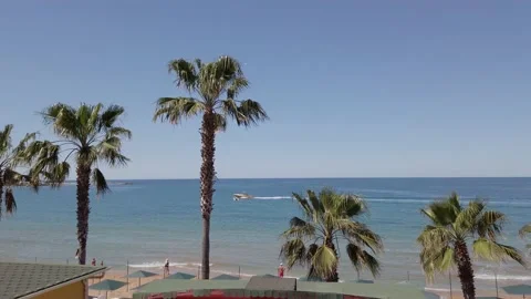 Parasailing parasailing along the sandy beach with palm trees. Blue sky and h Stock Footage 202242118