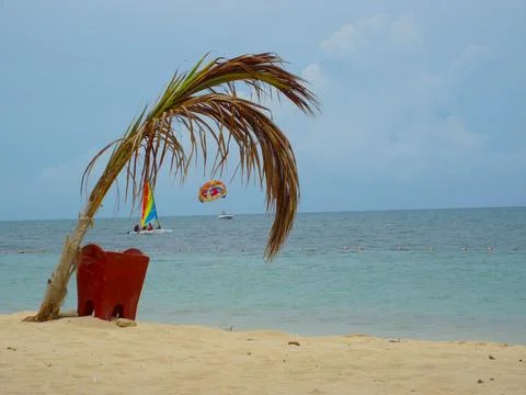 Parasailing Stock Photos