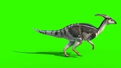 Oviraptor Dinosaurs Run Cycle Green Scre, Stock Video