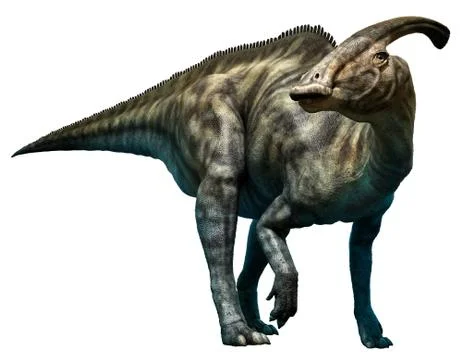 Parasaurolophus walkeri Ilustración de archivo