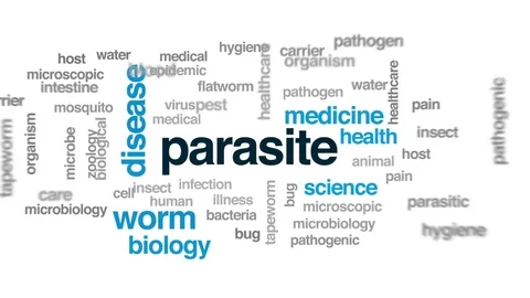 Parasite animated word cloud, text design animation. Stock Footage 77442920