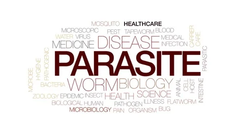 Parasite animated word cloud, text design animation. Kinetic typography. Stock Footage 77557484