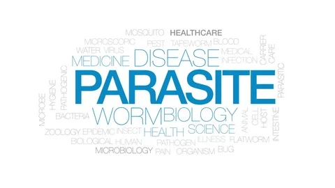 Parasite animated word cloud, text design animation. Kinetic typography. Stock Footage 77648866