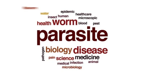 Parasite animated word cloud, text design animation. Stock Footage 77822407
