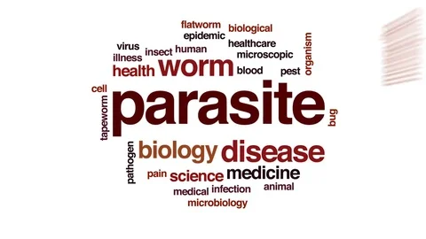 Parasite animated word cloud, text design animation. Stock Footage 77952944