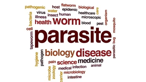 Parasite animated word cloud, text design animation. Stock Footage 78050074