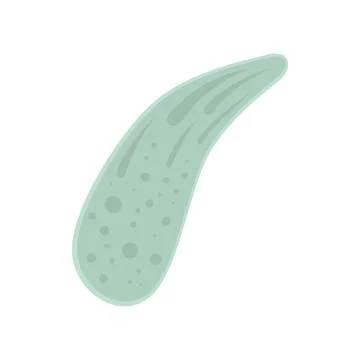 Parasite cell icon flat isolated vector Stock Illustration