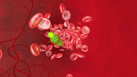 Parasite floating in the blood stream Stock-Footage 101639043