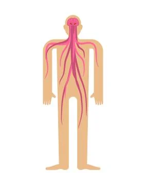 Parasite in human brain. Brains with tentacles in head. Monster inside body Stock Illustration