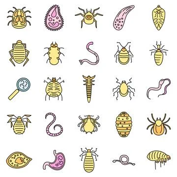 Parasite insect icons set vector color Stockillustratie
