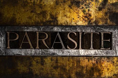 Parasite Stock Photos