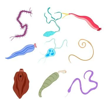Parasite set cartoon vector illustration Illustrazione stock