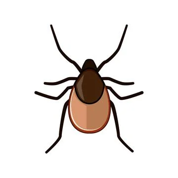 Parasite tick insect vector transmitting disease illustration Stock Illustration