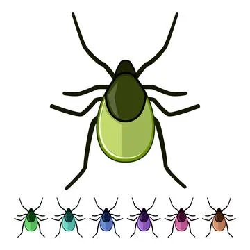 Parasite tick insect vector transmitting disease graphic 스톡 일러스트