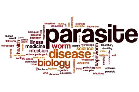 Parasite word cloud Illustration