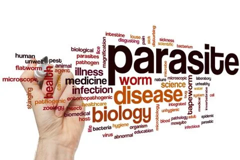 Parasite word cloud Stock Photos