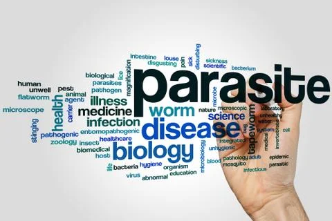 Parasite word cloud Stock Photos