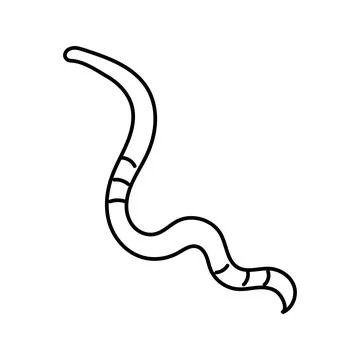 Parasite worm line icon vector illustration Stock Illustration