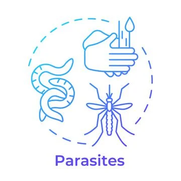 Parasites blue gradient concept icon Stock Illustration