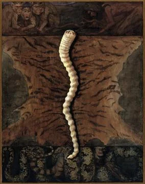 Parasites: a parasitical worm, shown much enlarged, with its hosts. Gouache.. Illustration