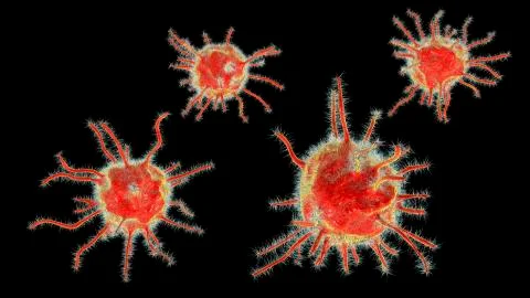 Parasites, pathogenic microbes Illustration