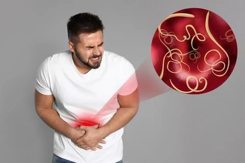 Parasites under microscope and man suffering from helminthiasis Stock Photos