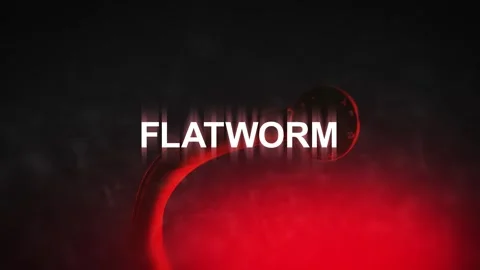 A Parasitic Flatworm with Flatworm typography Vidéo 310242796