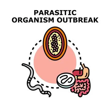 Parasitic organism outbreak causing human infection Stock Illustration