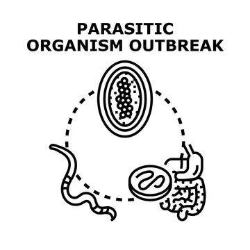 Parasitic organism outbreak causing human infection Stock Illustration