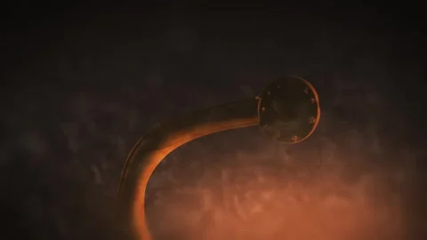 A Parasitic Tapeworm inside Human or Pet's Body Vidéo 310242827