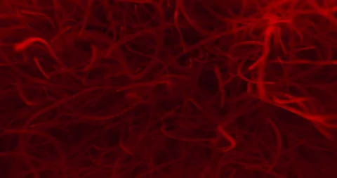 Parasitic Worms Floating And Wiggling In Water With Red Light. closeup shot Stock Footage 278973030