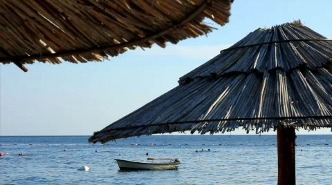 Parasol on the beach Stock Footage 794133