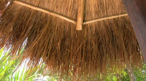 Parasol made from palm leafs Stock Footage 373405