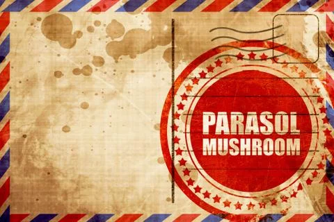 Parasol mushroom Stock Illustration