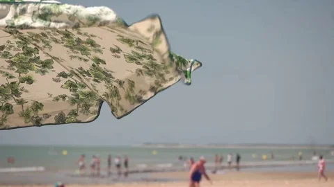 Parasol on sunny beach 库存影片 83812266