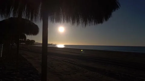 Parasol at Sunrise 스톡 동영상 140432833