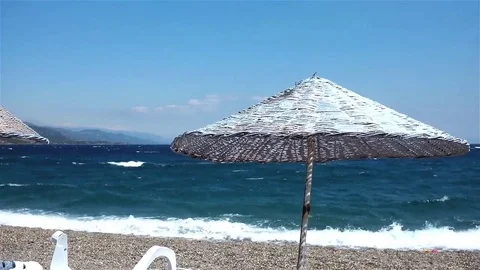 Parasol on a windy beach Stock Footage 83503556