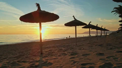 Parasols on the beach at sunset Stock Footage 145724432