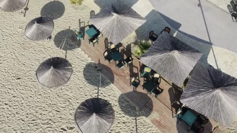 Parasols Stock Footage 219848662