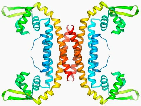 Parathion hydrolase enzyme Stock Illustration