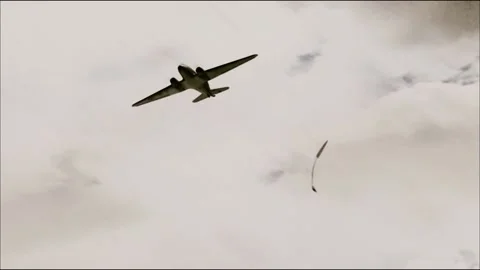 Paratrooper skydiving Stock Footage 235264636